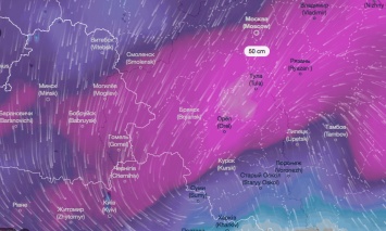 Захватив Киев, метель ушла в поход на Москву. Что теперь будет с погодой в Украине?