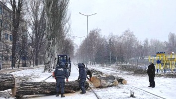 В Кривом Роге сильный ветер повалил деревья