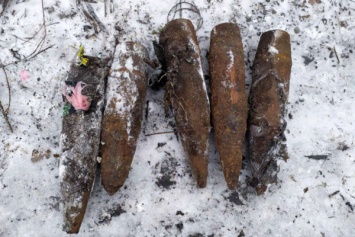 На мусорнике Кривого Рога обнаружили несколько артиллерийских снарядов