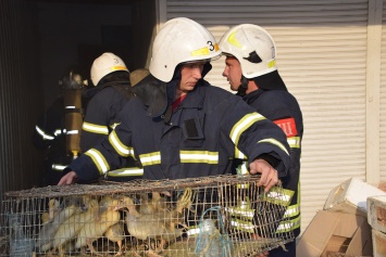За сутки на Николаевщине спасатели 4 раза тушили пожары в жилом секторе (ФОТО)
