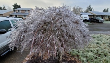 На Орегон налетел ледяной шторм: сотни тысяч людей остались без света