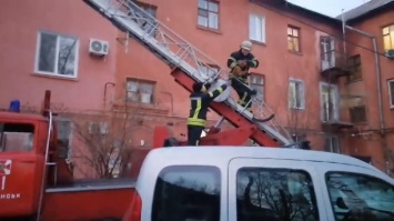 В центре Запорожья спасали кота, который застрял на крыше - видео