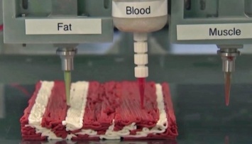 Израильский стартап будет печатать «мясо» на 3D-принтерах