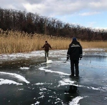 Примерзла лапа. В Мариуполе лебедя спасли от смерти