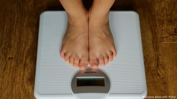 Лекарство от ожирения и диабета: что выяснилось в ходе опытов над мышами