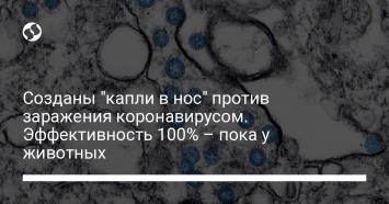 Созданы "капли в нос" против заражения коронавирусом. Эффективность 100% - пока у животных