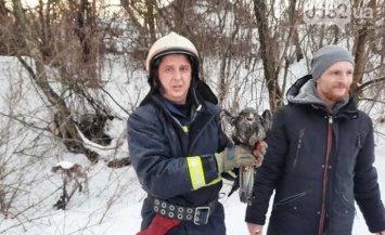 На Полтавщине спасатели вытащили из колодца обмороженную птицу