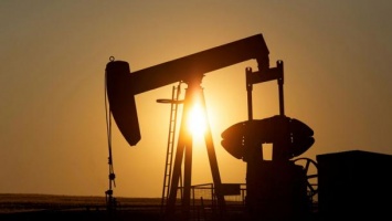 "Более 30%": нефтегазовые доходы РФ резко снизились