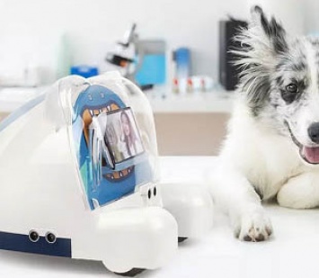 Создан робот для ухода за домашними животными