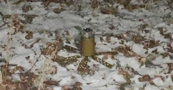 Житель Луганской области подорвался на мине боевиков на собственном дворе - детали (ФОТО)