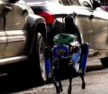 Полиция Нью-Йорка задействовала четвероногого робота Boston Dynamics во время опасного задания
