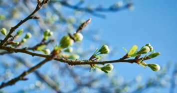 Морозный март, холодный май: народный синоптик спрогнозировал весну