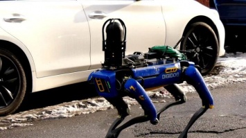 Четырехлапый "робокоп" патрулирует улицы американского города (видео)
