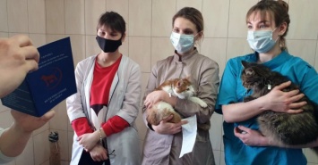В Харькове открылась бесплатная ветеринарная школа