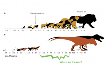 Доказана новая теория о превосходстве тираннозавра