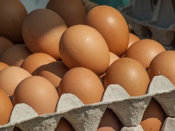 Нардеп Ивченко объяснил, почему дорожают яйца и как можно снизить цены на продукты
