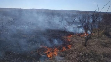 Пожарные час тушили загоревшееся в Симферопольском районе поле