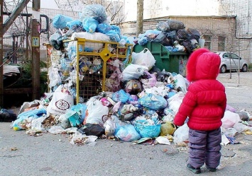 Горы мусора и неприятный запах: за новым ТЦ на Бородинском устроили свалку