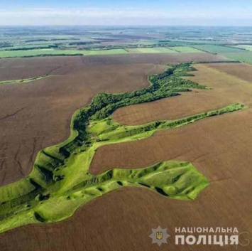 На Днепропетровщине сотни гектар заповедникого фонда отдали под распашку и выпас скота