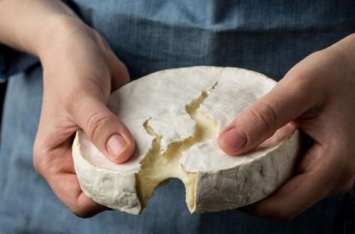 Съедобен ли французский сыр с плесенью: ответ специалиста