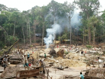 Две трети тропических лесов уничтожены или пришли в упадок