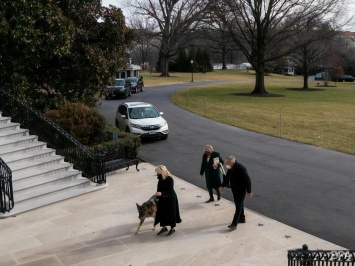 Собак Байдена вывезли из Белого дома. Самая младшая из них покусала охранника