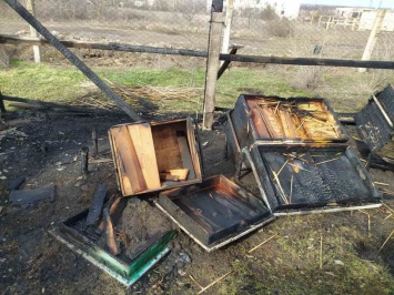 Пчел жалко. На Николаевщине неизвестные подожгли ульи (ФОТО)