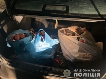 В Терновке задержаны павлоградские разбойники