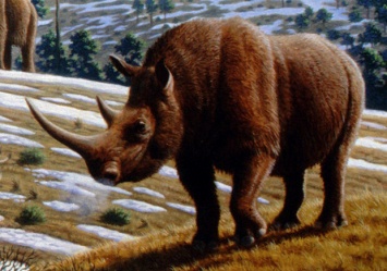 Вымерший вид: под Одессой нашли останки доисторического животного