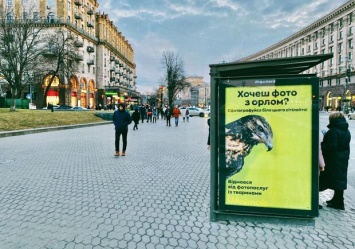 Берегите зверей: в Украине запустили кампанию против фото-эксплуатации животных