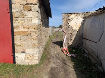 Девочку из Херсонской области, которую искала вся Украина, обнаружили мертвой