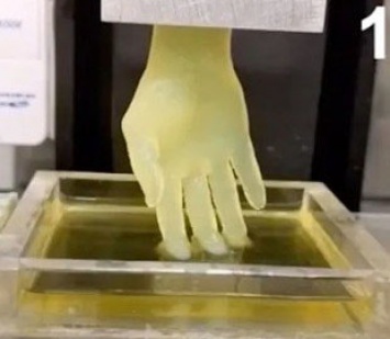 Новая технология 3D-печати может ускорить выращивание искусственных органов