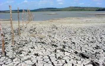 Экологи прогнозируют рекордную засуху в Украине в 2021
