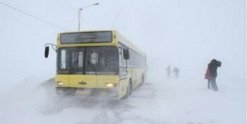 Водитель автобуса в Красноярском крае высадил детей в метель в "воспитательных целях"
