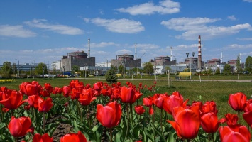 Запорожскую АЭС проверяют инспекторы Международного агентства по атомной энергии