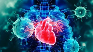 Удар по сердцу: обнародовано невероятное заявление о коронавирусе
