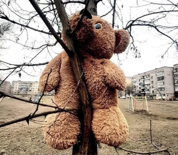 Жуткий перформанс: под Днепром медведей прибили к деревьям
