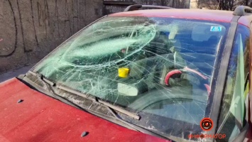 В Днепре кот с 6 этажа упал на Citroen и разбил лобовое стекло: подробности и кто должен нести ответственность