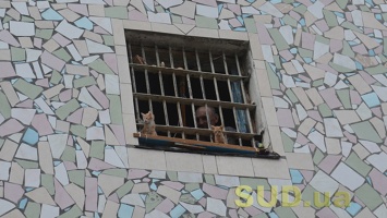Стало известно, как Украина улучшит условия содержания заключенных