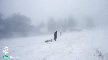Появились фото мартовского снегопада в горах Северной Африки, где местные пробуют санки