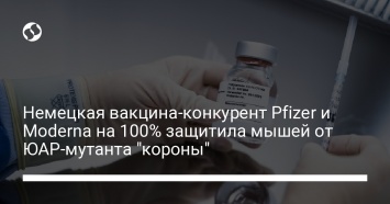 Немецкая вакцина-конкурент Pfizer и Moderna на 100% защитила мышей от ЮАР-мутанта "короны"