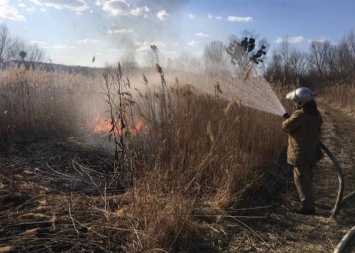 Под Харьковом - масштабные пожары из-за выжигания травы