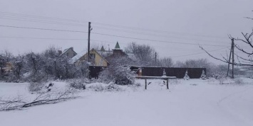 Новый год не за горами! В Днепре украли елочку!