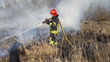 Страдает экосистема: в Днепропетровской области бушуют пожары