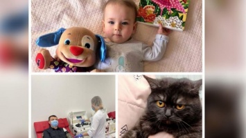 Спасание девочки с ожогами, помощь водителям и замурованная кошка: ТОП хороших новостей за март