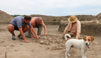 Археологи возобновят раскопки самого большого города трипольцев