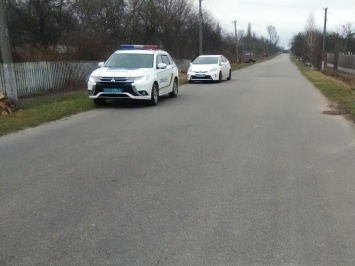 В Житомирской области машина полицейского насмерть сбила человека, водитель скрылся с места ДТП - полиция