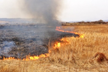 Из-за выжигания травы три села под Харьковом остались без света