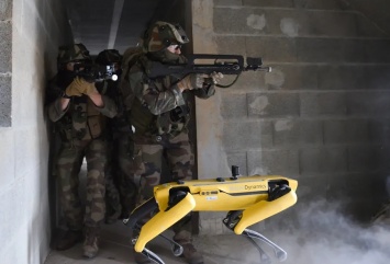 Французские военные тестируют робо-собак для ведения городского боя
