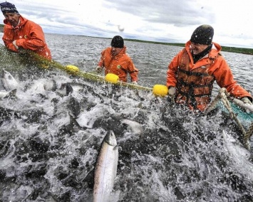 В Мариуполе холодная весна мешает промыслу рыбы